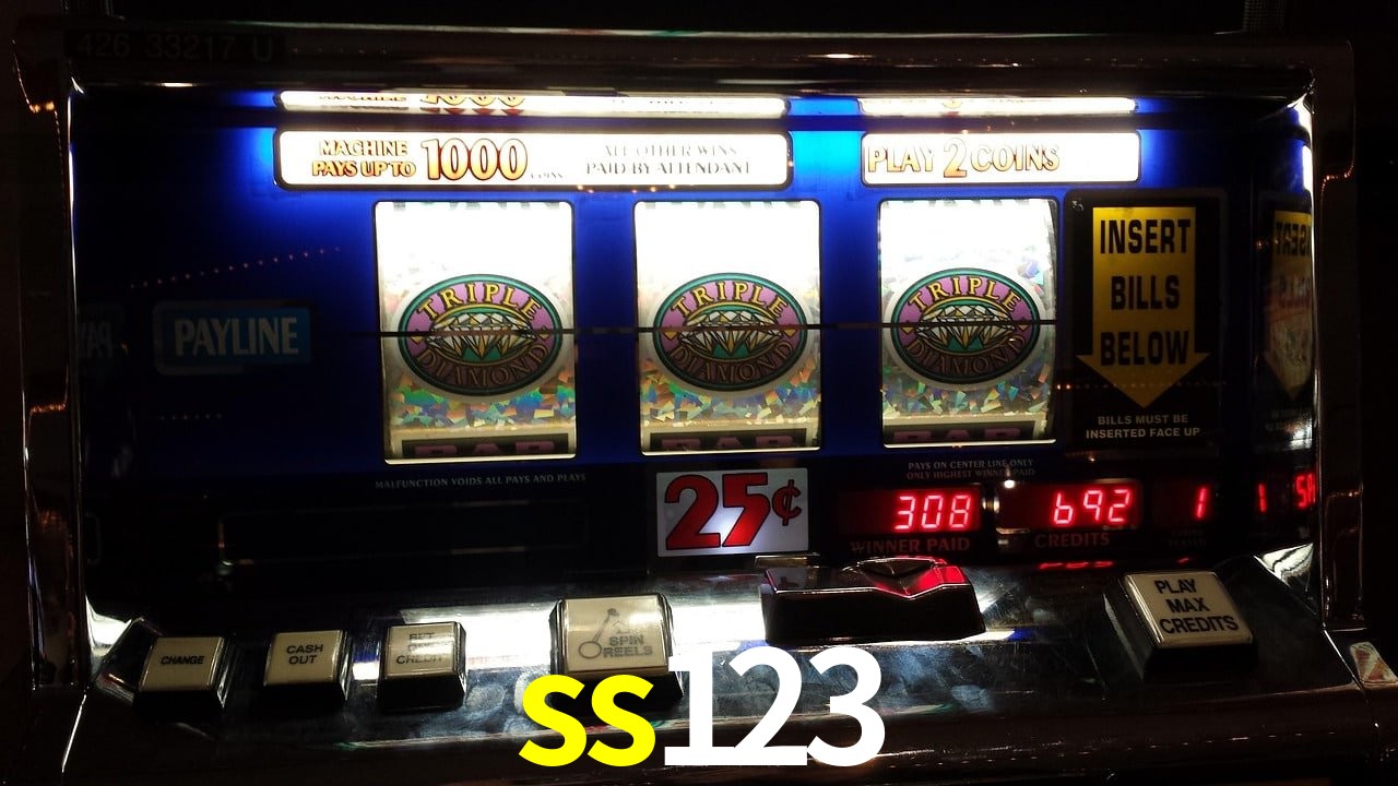 VIP Casino ss123