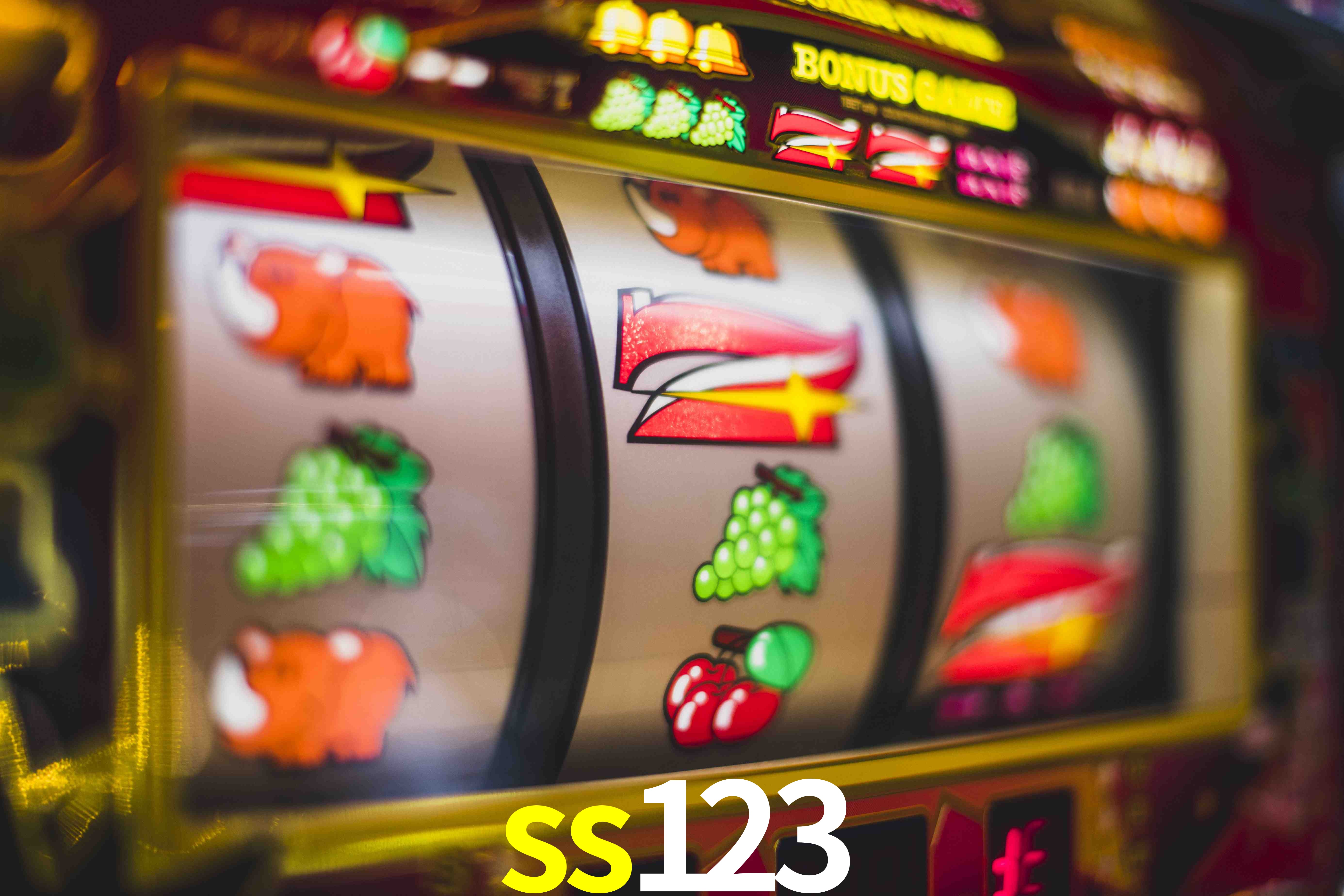 Live Casino ss123